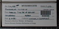 Image Associated With the Occurence